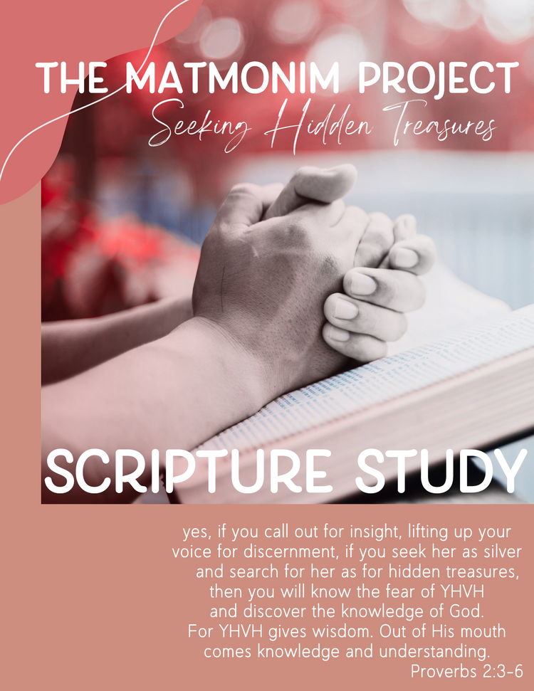 The Matmonim Project: Hidden Treasures in Scripture Bible Guide (Digital E-Book)